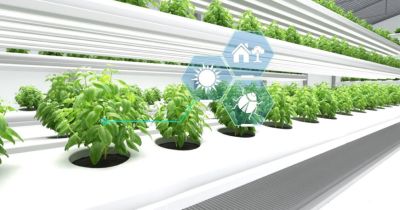 Smart Farming Revolution: AI-Powered Conversational Tools Transform Agriculture