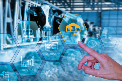 Revolutionize Your Immigration Journey with Smart AI Chat Solutions